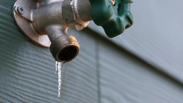 Best Sprinkler Systems  in Crested Butte, CO
