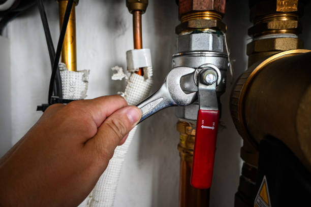 Best Local Plumber Services  in Crested Butte, CO